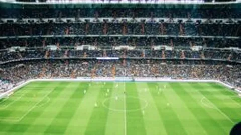 大乐透期号专家推荐：太阳对黄蜂质合分析