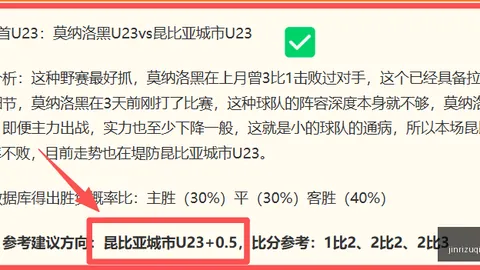 黑德堡挑战领头羊今日足球比分：澳维超送分题